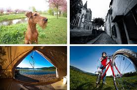 They can also produce dreadful results when the power of wide angle distortion is not. Guide To Choosing The Best Wide Angle Lens In 2021 Borrowlenses Blog