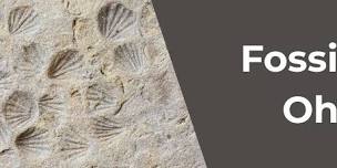 Fossils in Ohio | Presented by Kent State University