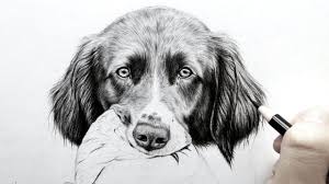 Art design realistic image pug svf cute dog vector svf cut files puppy png digital file dxf images ai commercial files download ac5191. How To Draw Realistic Fur Dog Ears Real Time Leontine Van Vliet Youtube