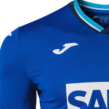 Shop from the world's largest selection and best deals for hoffenheim home memorabilia football shirts (german clubs). Home Jersey Tsg Hoffenheim Royal M C Joma
