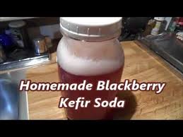 Vlog 165 Kefir Whey Soda Fruit Leather Orjanics 50nraw Youtube Kefir Soda Recipe Kefir Whey