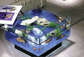 Maybe you would like to learn more about one of these? Populer 40 Bikin Meja Aquarium Sendiri
