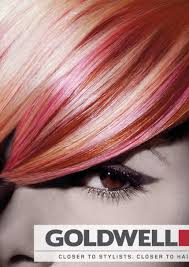 Nwr Professional Quality Pink Hair Dye