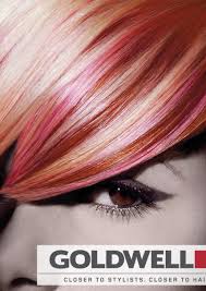 nwr professional quality pink hair dye