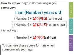 My korean age is 19 and my international age is 18. How To Say Your Age In Korean Youtube