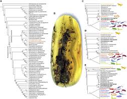 Konika 215 driver download / download driver konic. Jk2b3g91ig L6m