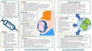 Vaccination of the population is one of the most effective countermeasures in responding to the pandemic caused by novel coronavirus infection. Frontiers Maternal Immunization Nature Meets Nurture Microbiology