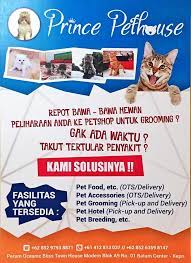 Grooming mencegah kucing stres karena kucing nyaman dengan tubuhnya yakni dengan proses grooming tidak boleh dipaksakan bagi kucing peliharaan, sobat harus memastikan saat itu kondisi. Grooming Kucing Batam Home Facebook
