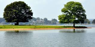 Jul 18, 2021 · lake martin has become a weekend getaway for many of birmingham, montgomery and even atlanta's elite. Goat Island On Logan Martin Lake