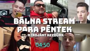 Butasag Szo Jelentese Bennszulottbalna Hullámos papagájok különböző hangjaikat és ezeknek a hangoknak a jelentéseit láthatjátok. twitch stats