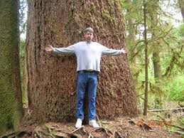 Check spelling or type a new query. Valley Of The Giants Falls City 2021 All You Need To Know Before You Go With Photos Tripadvisor