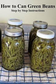 Maybe you would like to learn more about one of these? 21 Canning Green Beans Ideas Green Beans Can Green Beans Canning