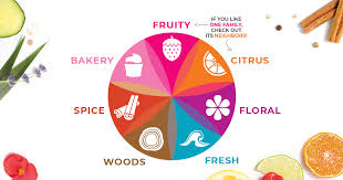 Shop Fragrances By Scent Family Scentsy Scents
