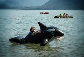 If you like hunting, we're here to get you all set up with everything you need. Best Lake Camping In Washington Northwest Tripfinder