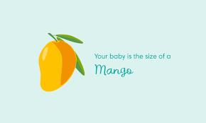 19 Weeks Pregnant Symptoms And Baby Development Pampers