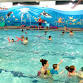 Rochester Open Swim event image