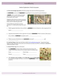 Cell division answer key vocabulary: Prairie Ecosystem Gizmo