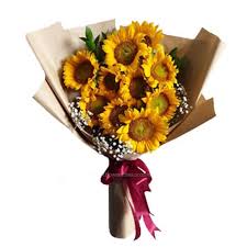 Harga bibit bunga matahari teddy bear sunflower cocok untuk batas pagar. Jual Bunga Matahari Beli Buket Bunga Matahari Harga Murah