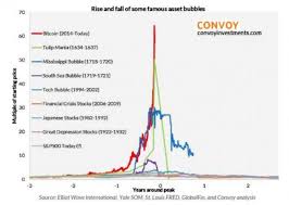 It was created by an anonymous person or group of people with the nickname satoshi. Bitcoin Und Tesla Als Symbole Der Tulpenmanie 2 0 Risknet The Risk Management Network