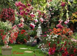 Past Fuchsia Beautiful Gardens Dream Garden Cottage Garden