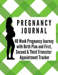 Pregnancy Journal 40 Week Pregnancy Journey With Birth Plan First Second And Third Trimester Appointment Tracker Baby Shower Memories Great Pregnancy Gift Journals Emerald Taurus 9781704777245 Amazon Com Books