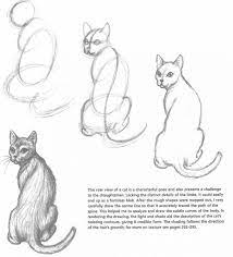 comment dessiner un chat 4 2944 catsdiydrawing dessin chat comment dessiner un chat dessin visage