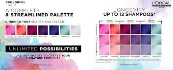 L Oreal Professionnel Colorful Hair Shade Palette Hair Shading Loreal Pastel Tone