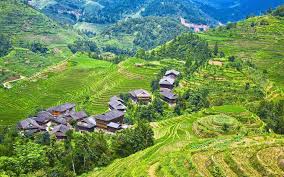 Maybe you would like to learn more about one of these? Longji Terrassen Reisfelder Guilin China 1920x1200 Hd Hintergrundbilder Hd Bild