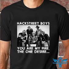 We tried a million different variations on the second verse, and finally we had to go back to what was sounding so great, 'you are my fire, the one desire'. Hackstreet Boy You Are My Fire The One Desire T Shirt