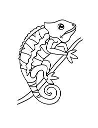 chameleon changing color coloring pages best place to animal jeu de dessin en couleur