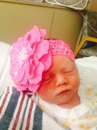 Pullins Family History: Last Name Origin & Meaning