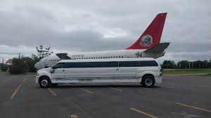 Image result for Limosella maior