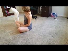 If you're still in two minds about cat dancer and are thinking about choosing a similar product, aliexpress is a great place to compare prices and sellers. Cat Dancer Cat Toy Video Demonstration Review Youtube