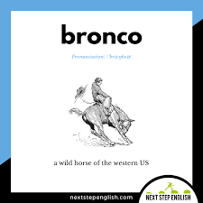 Pin On Advanced English Vocabulary