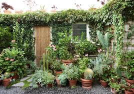 Pot Gardens Plants Courtyard Plants Garden Design