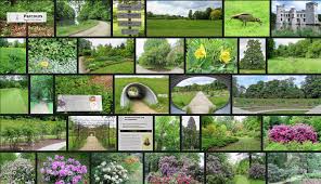 Koen es, directeur public services verzorgde deze… Plantentuin Meise Wandelkrant Be Grootste Gratis Onafhankelijk Wandelmagazine Van De Lage Landen