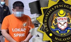 Seekor tupai dewasa pada umumnya bisa melompat hingga sejauh 3 meter dalam sekali lompatan. Sepandai Pandai Tupai Melompat Akhirnya Jatuh Ke Tanah Jua Suspek Lompat Pagar Berjaya Diberkas Hot Fm