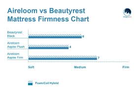 Aireloom Vs Simmons Beautyrest Sleepopolis