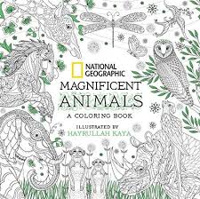 Download 13 Best Adult Coloring Books 2020 Cool Adult Coloring Books To Buy