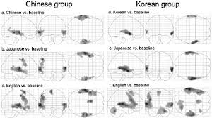 We reviewed the best online hepatitis c support groups so that you can find a community that suits your needs. Images Showing Brain Areas Significantly Activated During Each Language Download Scientific Diagram