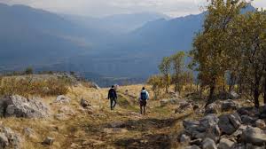 We did not find results for: How Has The Pandemic Affected Life In Iraqi Kurdistan Adventure Com