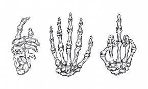 Almost files can be used for commercial. Skeleton Hand Images Free Vectors Stock Photos Psd