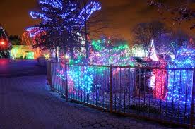 Columbus Wildlights Christmaslighting See More Photos Columbus Ohio Zoo Columbus Zoo Zoo