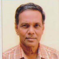 PDF) Golden rice: introgression, breeding, and field evaluation