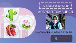 Yuk Kita Belajar Tentang Adaptasi Tumbuhan Terhadap Lingkungan Youtube