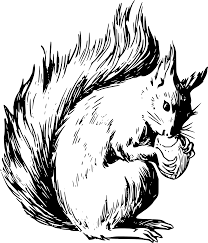 Free icons of squirrel in various design styles for web, mobile, and graphic design projects. Svg Mammal Nut Animal Squirrel Free Svg Image Icon Svg Silh