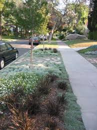 Reclaiming The Parkway Xeriscape Front Yard Sidewalk Landscaping Front Yard Landscaping