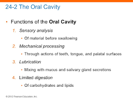 24 2 Oral Cavity C 2012 Pearson Education Inc The Oral Cavity Functions Of The Oral Cavity 1 Sensory Analysis Of Material Before Swallowing Ppt Download