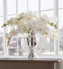 White Phalaenopsis Orchid Bouquet By Martha Stewart For 1 800 Flowers Com 1344 Orchid Arrangements Orchid Flower Arrangements Flower Arrangements