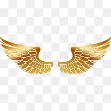 Golden Wings Hand Painted Golden Vector Material Wings Vector Png Vector Material Vector Wings Png Wings Artwork Wings